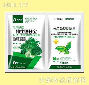 �������L(zh��ng)��+������ߴپG��-嫘�(l��)��