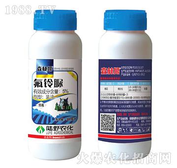 5%���������-ɭ����