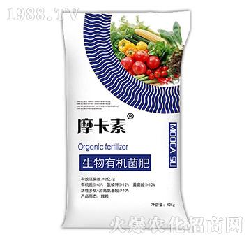 �����ЙC(j��)����-Ħ����-��(qi��ng)о���H