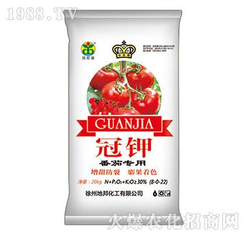 ���ь�(zhu��n)��-���-�ذ�Ȫ