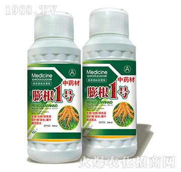 ���1̖(h��o)-ˎ�Č����~��