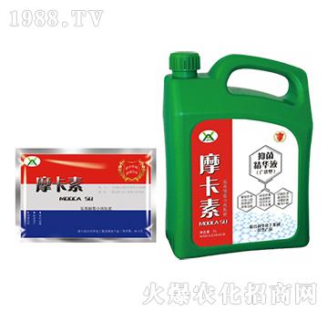 �V�V���־����AҺ���ؼӴ���-Ħ����-��(qi��ng)о��(gu��)�H