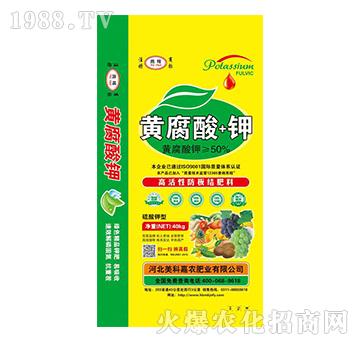 �S�����-���Ƽ��r(n��ng)