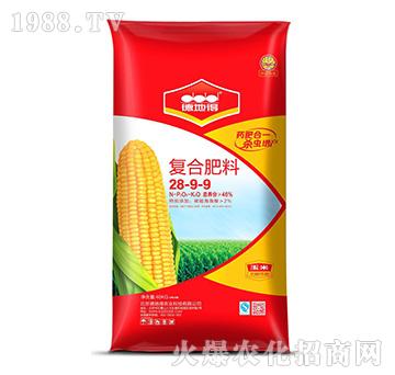 ���׌���ˎ��-�µص�