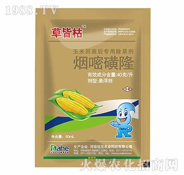 ���׻�¡-�ݽԿ�-�hҊ�r(n��ng)�I(y��)