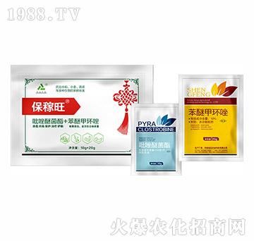 ���������b�M��-�h(yu��n)Ҋ�r(n��ng)