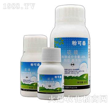 �ۿ�̩-չ�i����