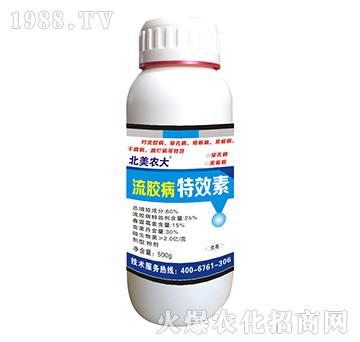 ���z����Ч��-�����r��