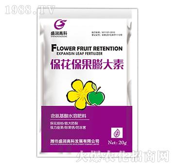 �������������-ʢ���߿�