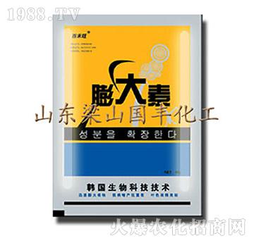 �����-��ɽ��(gu��)�S