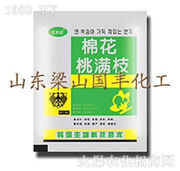 �޻��ҝM֦��25g��-��ɽ��(gu��)�S