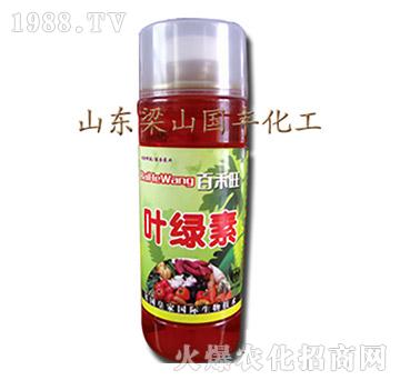 �~�G�أ�ƿ��-��ɽ���S