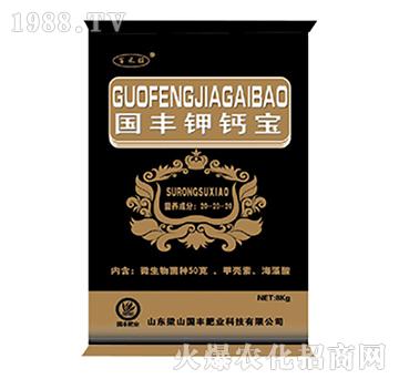 ��(gu��)�S��}��������-��ɽ