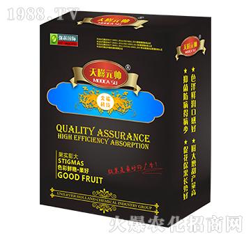 ����Ԫ��-��(qi��ng)о���H