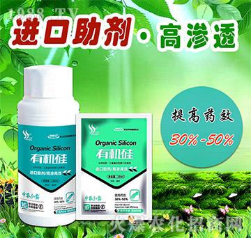 �ЙC��-���r��¶