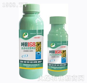 ���Z168ˮ��-��̩���