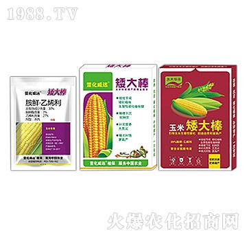 �������L�{��(ji��)��-�����