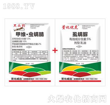 12%�׾S���x����+5