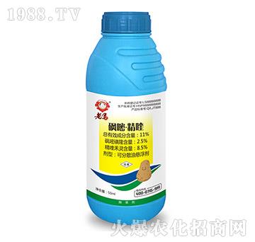 11%���ס����-���R