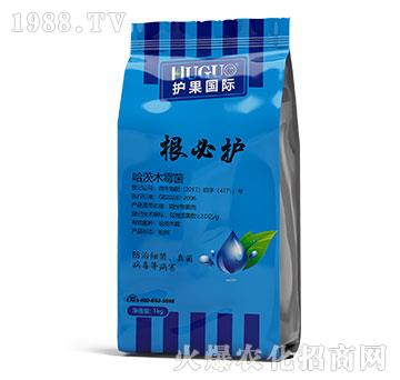 �����o(h��)-�o(h��)�����H