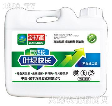 �~�G���L(zh��ng)-��Ȼ�L(zh��ng)-���S�f(w��n)¡