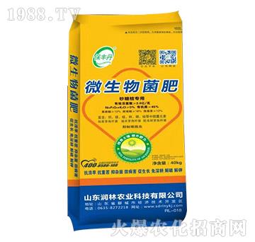 ɰ�ǽی�(zhu��n)��΢�������-���S��-��(r��n)���r(n��ng)�I(y��)