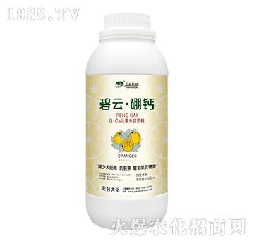 ���ơ����}-���_��