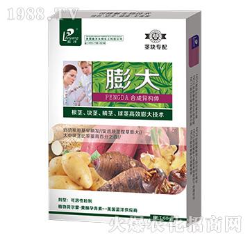 �o�K�������-���_��