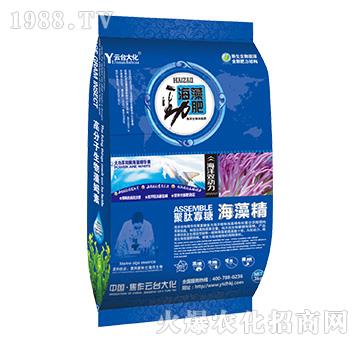 ����ŷ�-���_(t��i)��