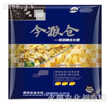 �˼�ø���L(zh��ng)��-��Z�}(c��ng)-���_(t��i)��