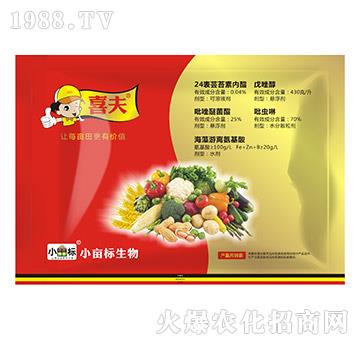 ���a�ײ�-ϲ��-С����