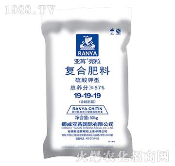 ������͏�(f��)�Ϸ���19-19-19-��������-���ۇ��H