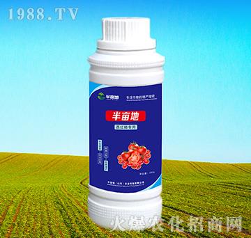 ���t����(zhu��n)���~���-�뮀��