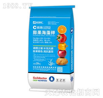 ̼ø��������-ɽ����