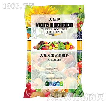 ����Ԫ��ˮ�ܷ���6-5