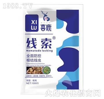 ����-ϲ¹-�Gɫ�r�I(y��)