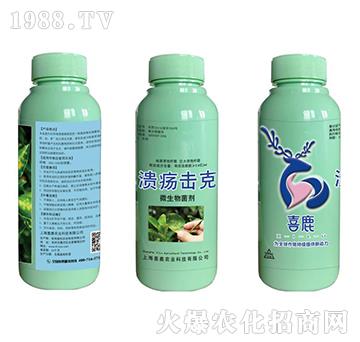 ΢�������-��������-�Gɫ�r�I(y��)