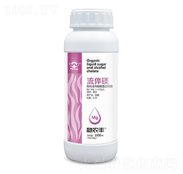 �ЙCҺ�w�Ǵ������V��-���w�V-��(w��n)�r����