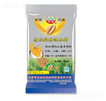 ��ֳ�ᓽ�����20-1