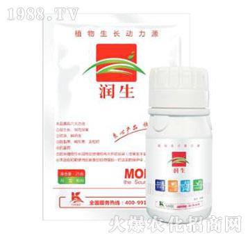 ֲ�����L����Դ-����-����ֲ��