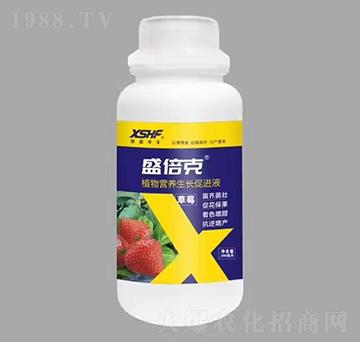 草莓專用植物營(yíng)養(yǎng)生長(zhǎng)促進(jìn)液-盛倍克-新盛禾豐