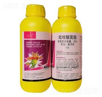 25%�����Ѿ���-����-���