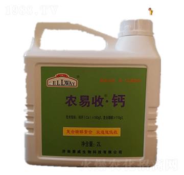 �r���ա��}-�r���ա��}