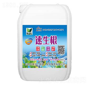 ������-����