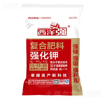 ��(qi��ng)����(f��)�Ϸ���12-12