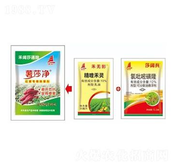 �t�����s�ݽ�Q����-���ɯͨ��-ϲ�S��