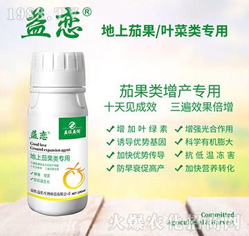 �����ѹ����-���-��������