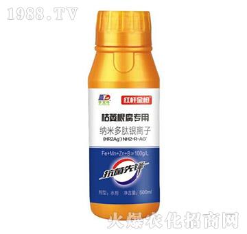 ��ή�������ü{�׶����y�x��-�t�U��-���~����