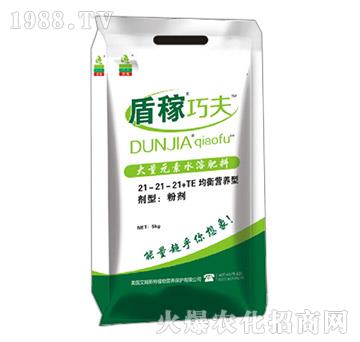 �I(y��ng)�B(y��ng)�����ʹ���Ԫ��ˮ�ܷ���21-21-21+TE-�ܼ��ɷ�-��ķ˹��