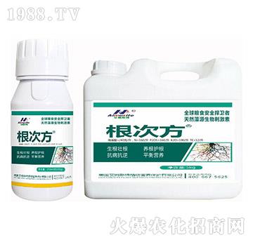 ���η�-��ķ˹��